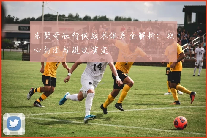 东契奇独行侠战术体系全解析：核心打法与进攻演变