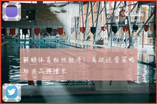 解锁体育粉丝经济:高效运营策略助力品牌增长