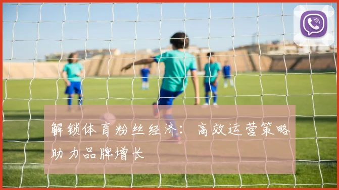 解锁体育粉丝经济:高效运营策略助力品牌增长